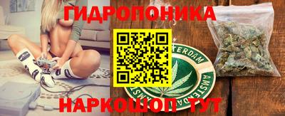соль ск Можга