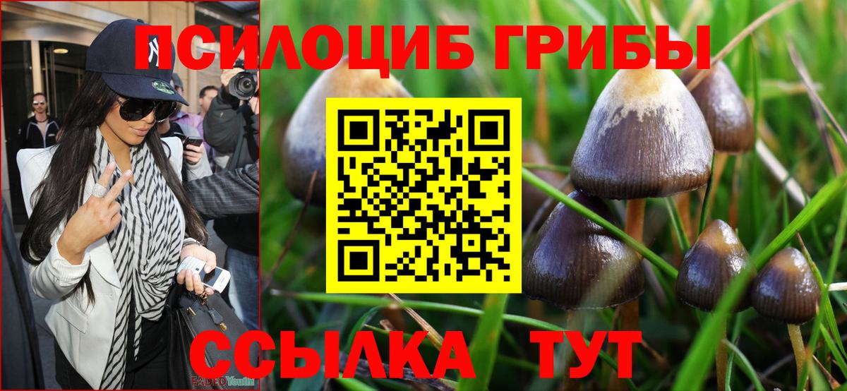 Псилоцибиновые грибы ЛСД Бор