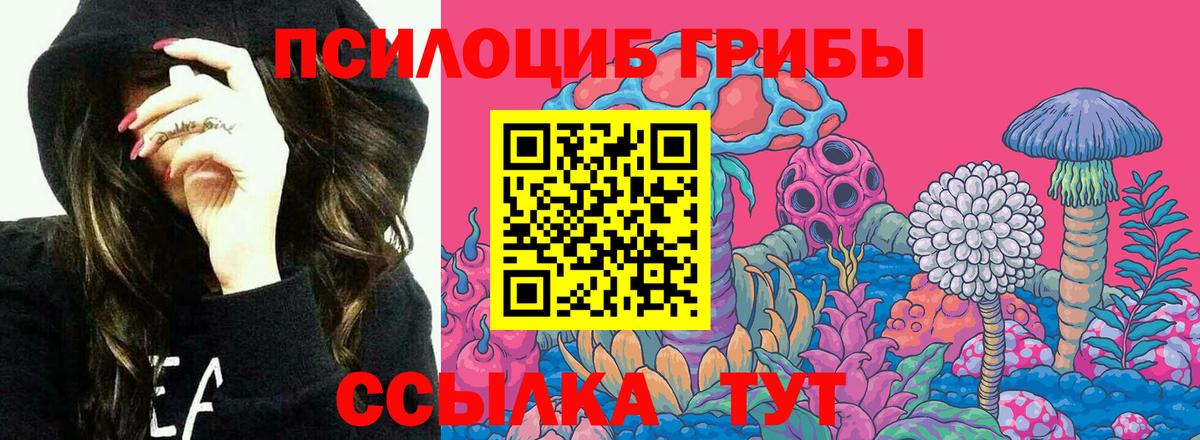Галлюциногенные грибы прущие грибы  Вход с VPN  Псилоцибиновые грибы мицелий  Бор 
